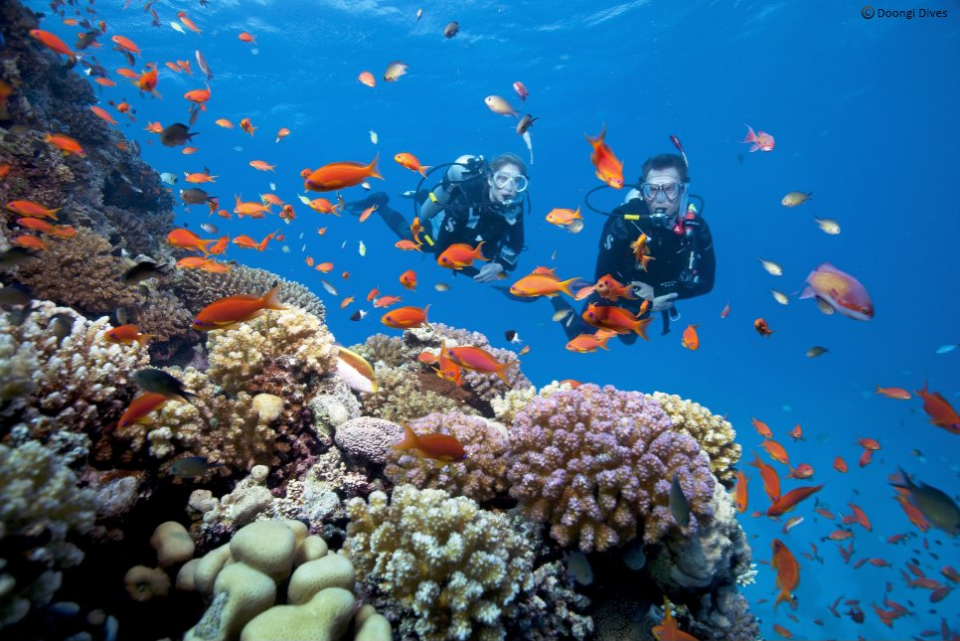 Explore the Underwater Beauty of Andaman Islands