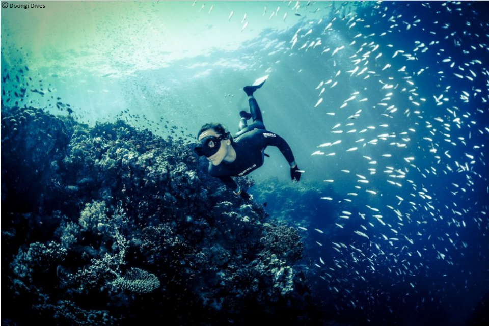 Snorkeling in Andaman Islands