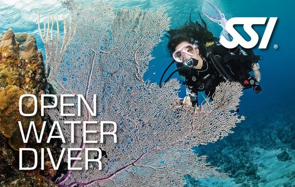 Open Water Scuba Diver Certification in Andaman
