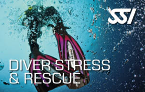 Rescue Diver Certification in Andaman